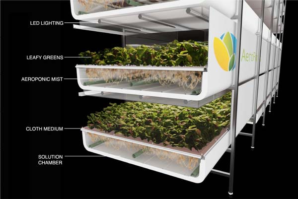 Vertical Farm growing tray