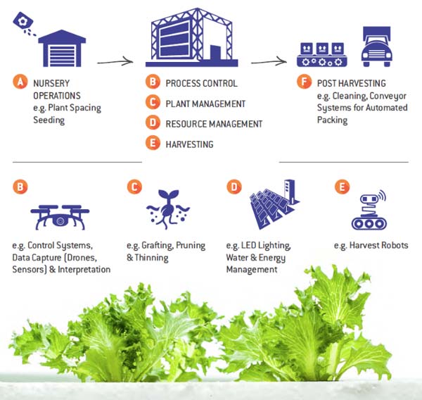 Vertical Farms use technology at very part of the farming process